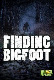 Finding Bigfoot (Video Game 2017) - IMDb