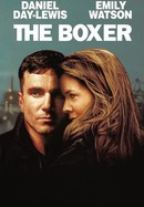 The Boxer poster image
