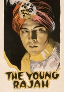 The Young Rajah poster image