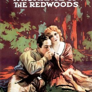 A Romance of the Redwoods photo 9