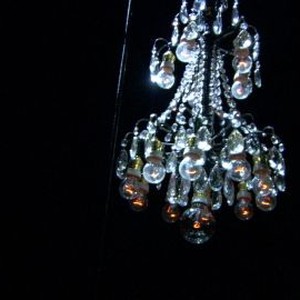 Becoming Traviata photo 15