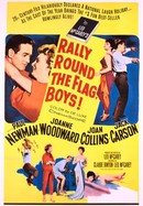 Rally 'Round the Flag, Boys! poster image