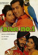 Biwi No. 1 poster image