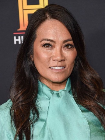 Dr. Sandra Lee TV Shows List | Rotten Tomatoes | Rotten Tomatoes