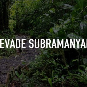 Yevade subramanyam discount on amazon prime