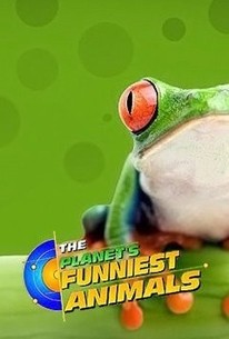 The Planet's Funniest Animals | Rotten Tomatoes
