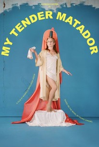 My Tender Matador poster