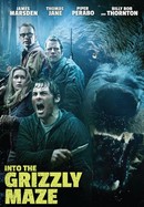 Into the Grizzly Maze poster image