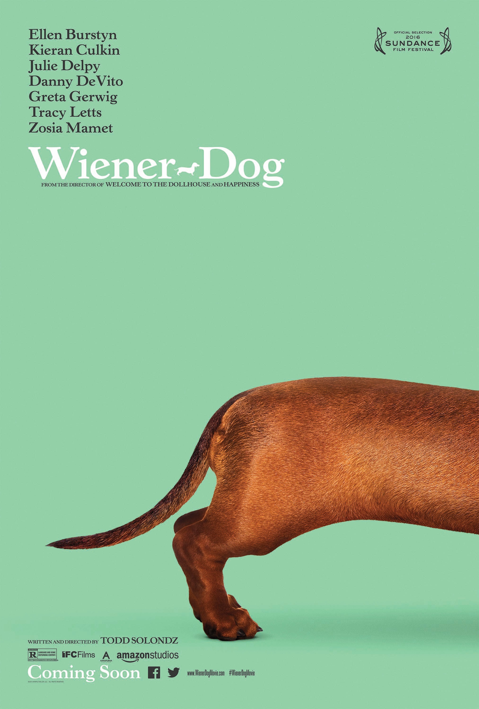 ty wiener dog