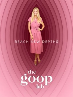 open lace back dress G. Label by Goop