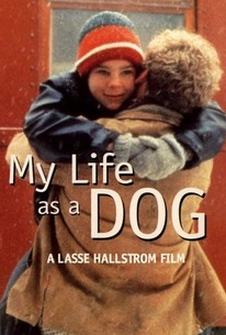 Watch trailer for My Life as a Dog