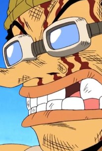 One Piece: Season 4, Episode 23 - Rotten Tomatoes