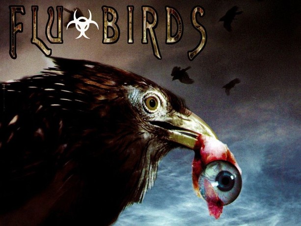 Watch flu bird horror online free hot sale