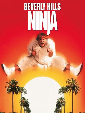 Beverly hills ninja 2025