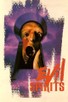 Poster for 