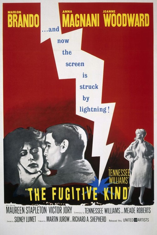 The Fugitive Kind poster