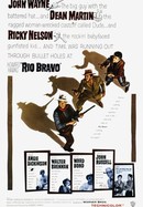 Rio Bravo poster image