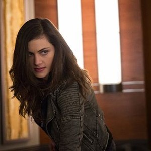 Phoebe Tonkin - Rotten Tomatoes