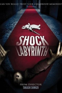 Poster for The Shock Labyrinth