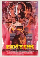 The Editor poster image