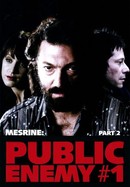 Mesrine: Part II - Public Enemy 1 poster image