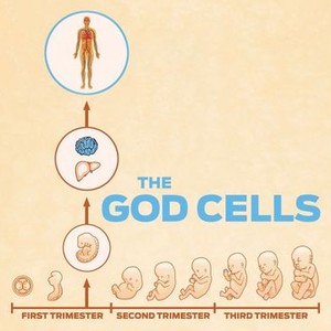 The God Cells photo 5