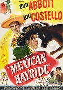 Mexican Hayride poster image