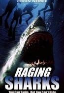 Raging Sharks poster image