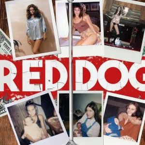 Red Dog (2019) - Rotten Tomatoes
