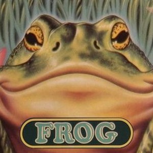 Frog photo 3