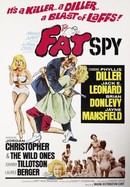 The Fat Spy poster image