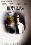 Notes From Underground poster image