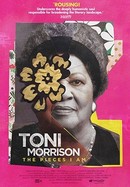 Toni Morrison: The Pieces I Am poster image