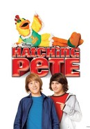 Hatching Pete poster image