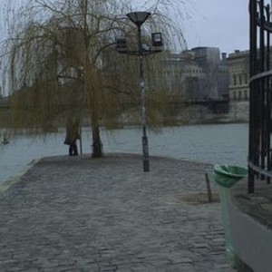 After Fall, Winter - Rotten Tomatoes