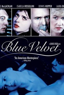 Blue Velvet Movie Quotes Rotten Tomatoes