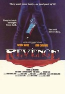 Revenge poster image