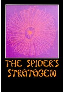 The Spider's Stratagem poster image