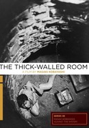The Thick-Walled Room poster image