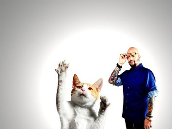 My Cat From Hell Season 8 Episode 1 Rotten Tomatoes