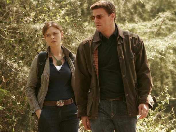 Bones Season 1 Rotten Tomatoes
