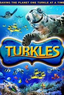 Watch trailer for Turkles
