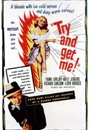 Try and Get Me poster image