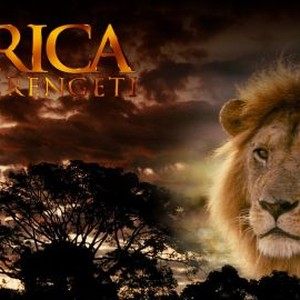 Africa: The Serengeti photo 8