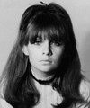 Chrissie Shrimpton