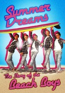 Summer Dreams: The Story of the Beach Boys poster image