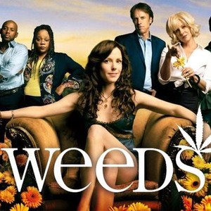 Weeds - Rotten Tomatoes