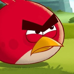 Angry Birds Toons - Rotten Tomatoes