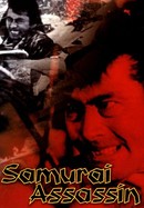 Samurai Assassin poster image