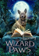 The Amazing Wizard of Paws poster image
